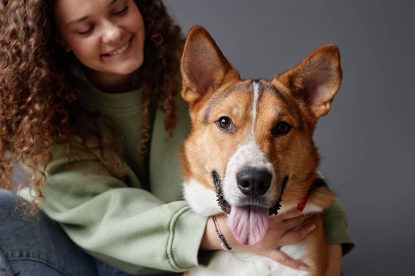 happy dog looking at camera with girl embracing