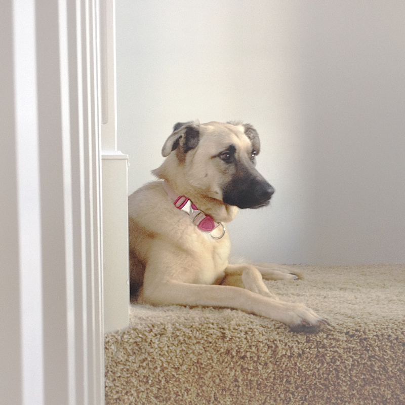 her favorite spot on the steps where she can look